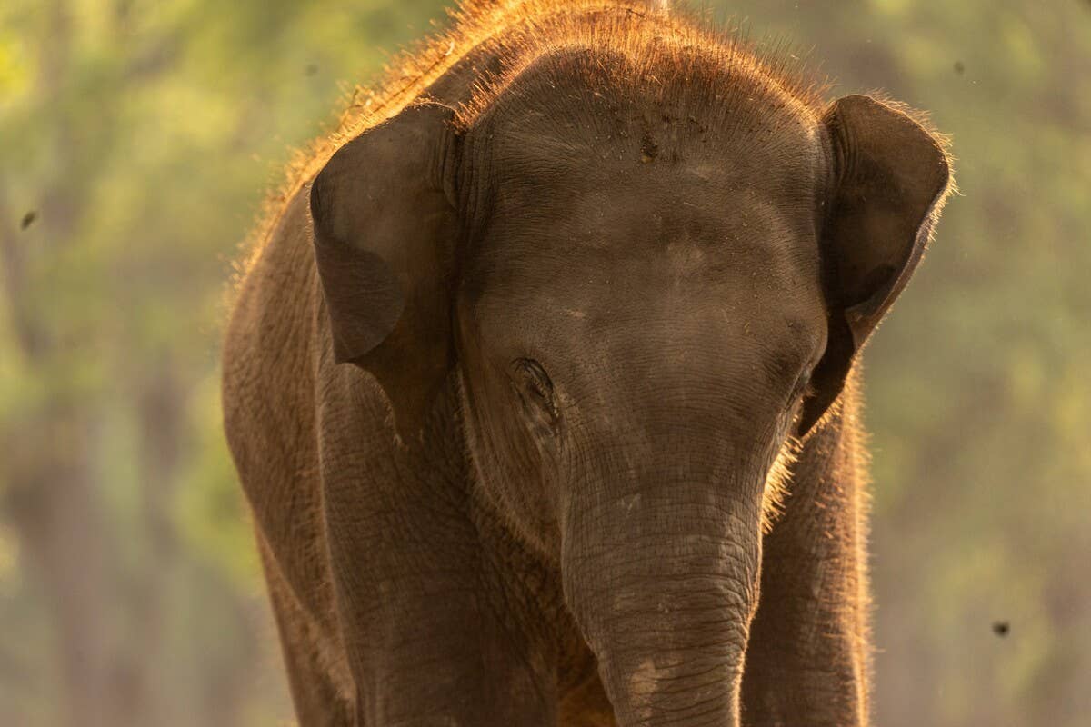 Yahoo lifestyle home