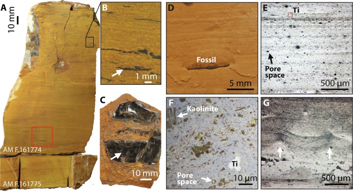 1 S2.0 S1342937x25002771 Gr4