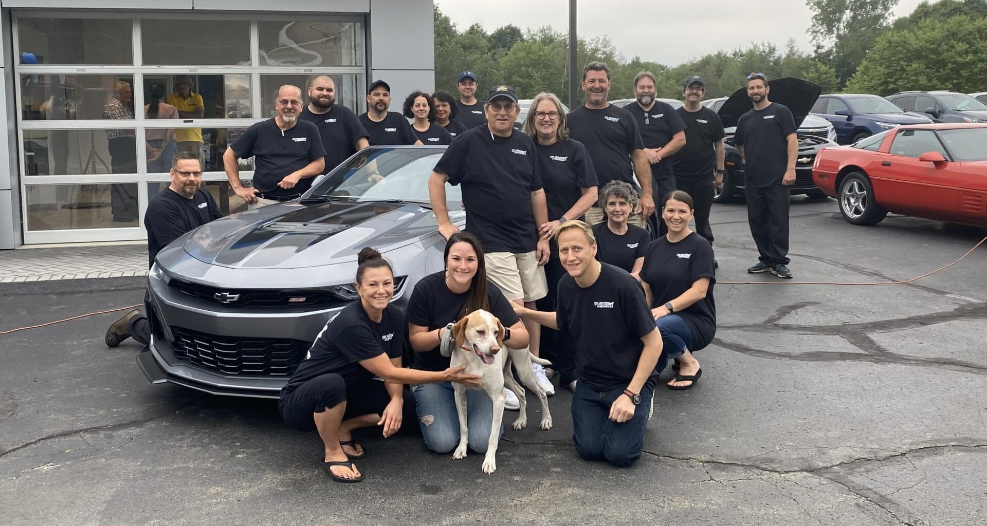 Local car dealerships growing, dying amid rise of mega auto retailers