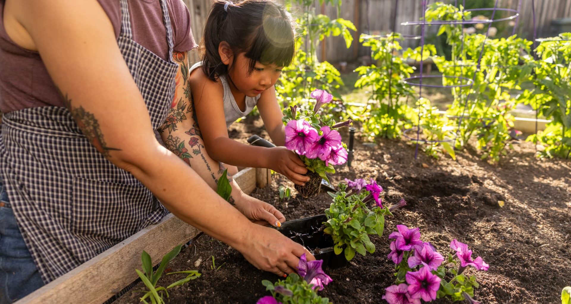 Doctor set out to find what helps people 'defy disease'—here's what she found