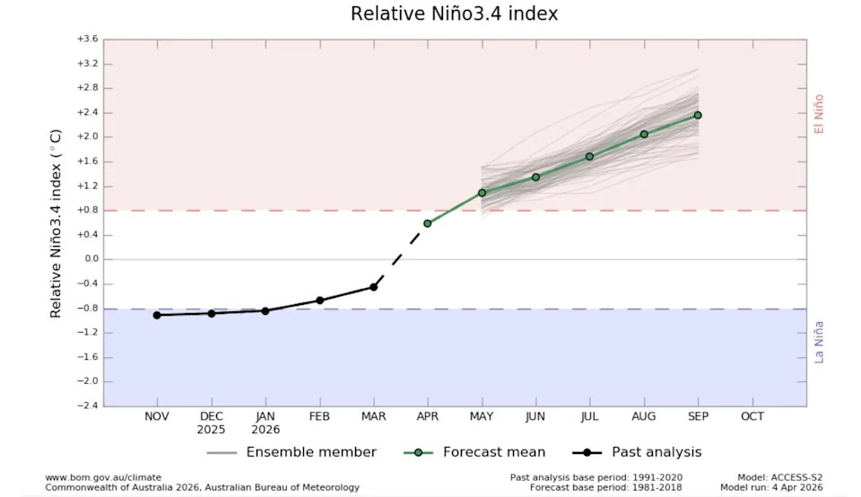 Australia's Bureau of Meteorology seasonal forecast, run April 4, shows El Niño conditions reaching 100 percent probability by June and intensifying through at least September, with anomalies hitting super El Niño territory by August. (BOM)