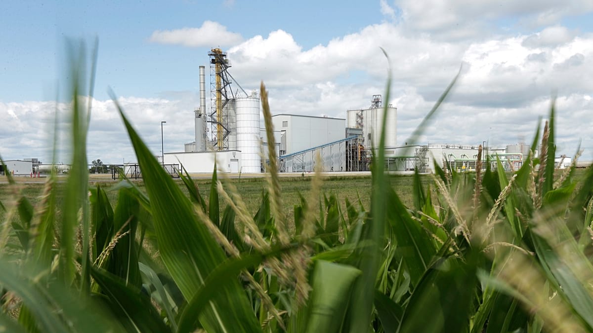 A ‘failed experiment’? Biofuels under the spotlight as EU scrambles for alternative energy