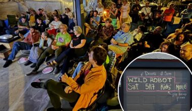 Boston DIY theater shut down by Hollywood cease-and-desist after 'Wild Robot' screening