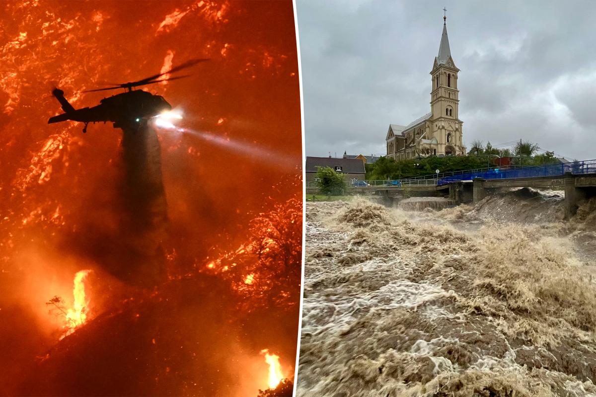 Fires, floods could imperil 36% of all land animals in 60 years