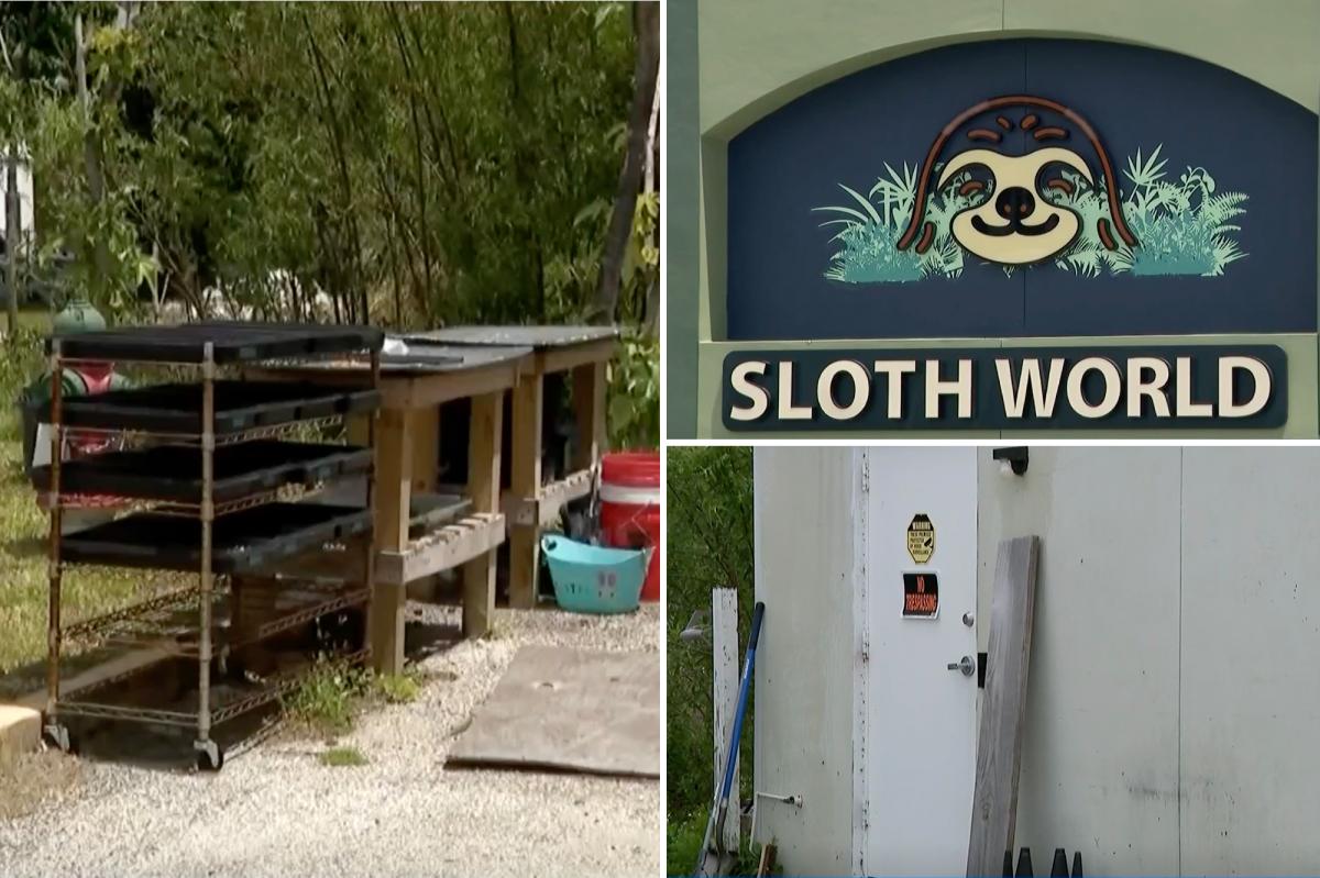 Florida 'slotharium' shuttered after probe found 31 sloths died in 'worst conditions possible'