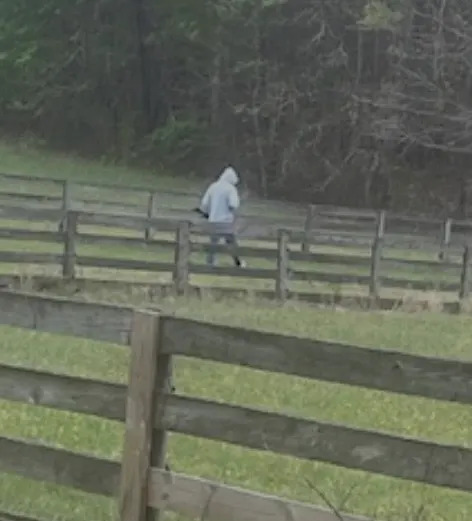 Rockingham County theft suspect (Rockingham County Sheriff’s Office)