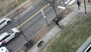 Bates College under shelter in place due to armed man near campus