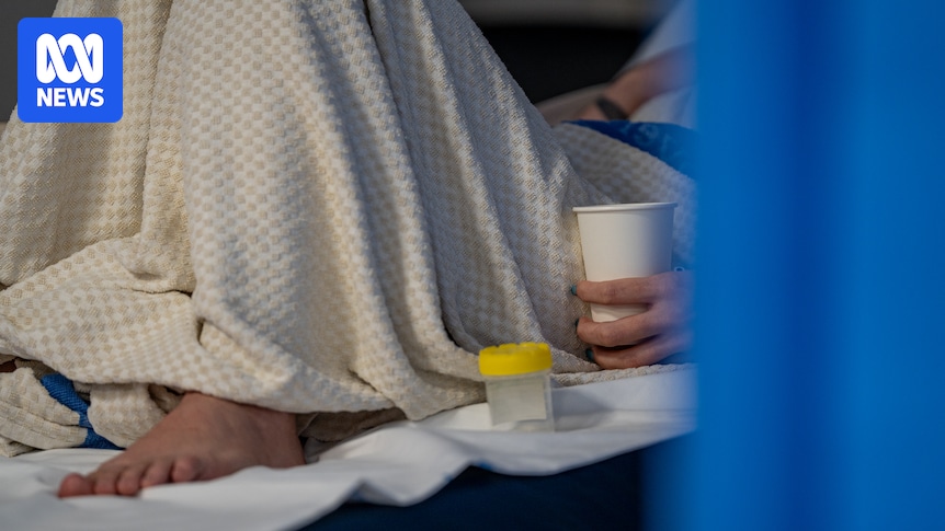 Woman claims 'toxic dose' of wrong drug during routine surgery at PRH left her brain damaged