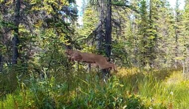 Yahoo lifestyle home