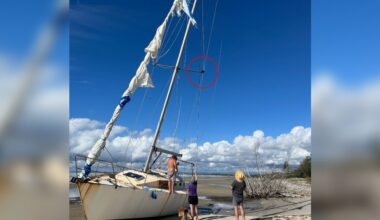 Couple Spot Black Blob On Sailboat Ropes — And Realize It's A Wild Animal In Danger