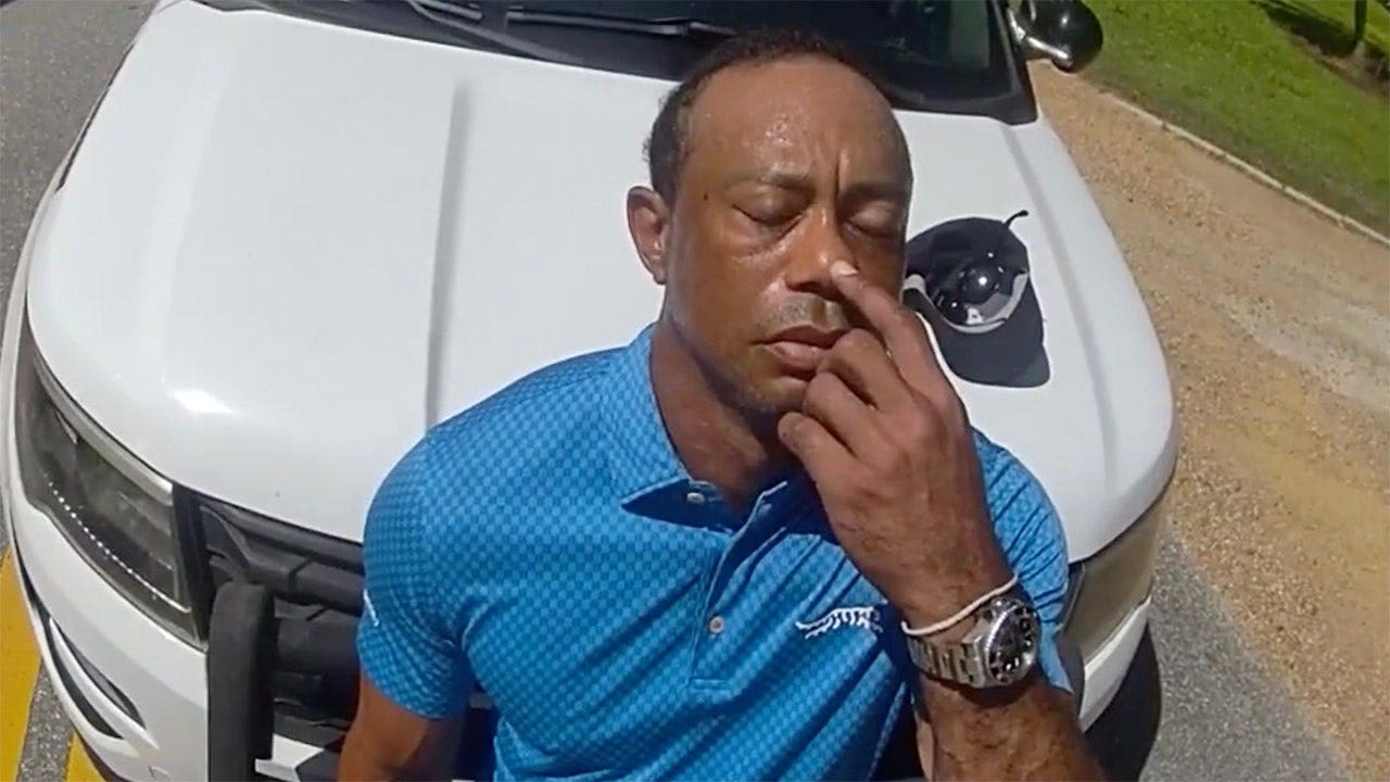 Golf legend Nick Faldo says Tiger Woods must face 'accountability' after DUI
