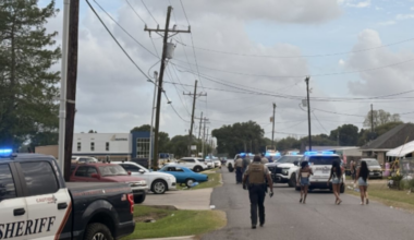 Driver in custody, accused of hitting parade crowd at La. Lao New Year Festival