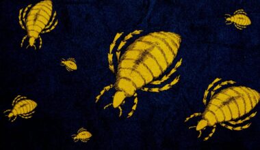 Grim ‘Victorian Disease’ Makes an Alarming Comeback