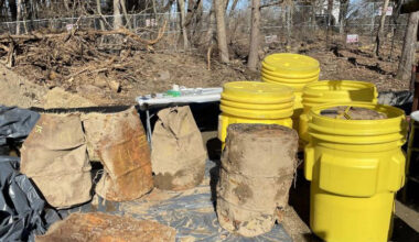 GE Aerospace to probe Dewey Loeffel homestead property in Nassau