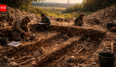 Ancient human populations disappeared 3,000 years ago in France: DNA study reveals Paris tomb mystery | World News