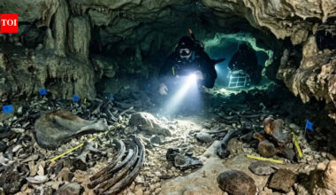 Rare Fossils In Texas: Rare Ice Age fossils found in Texas cave could rewrite ancient climate history | World News