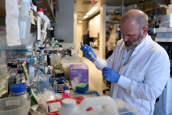 Todd Michael, a research professor at the Salk Institute for Biological Studies, works at his lab in San Diego, Wednesday, Dec. 3, 2025. (AP Photo/Annika Hammerschlag)