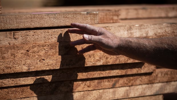 U.S. appears to lower Canadian softwood lumber tariffs — but uncertainty remains