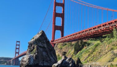 Gray whales are out of luck in San Francisco Bay