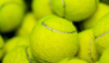 Tennis ace, 15, dies after heart attack on court to leave local town in state of shock