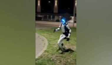 Robot chases off a group of wild boar in Poland - Fox Business