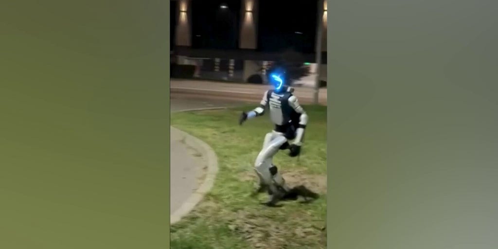 Robot chases off a group of wild boar in Poland - Fox Business