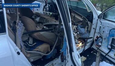 Tahoe-area bear destroys car