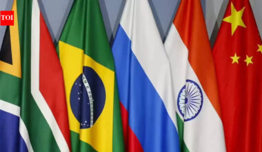 India flags mental health, lifestyle diseases as new BRICS priorities | India News