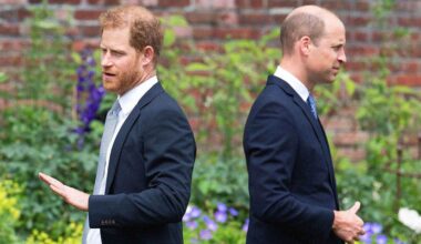 Prince Harry's attempts to reach Prince William have failed, royal experts claim