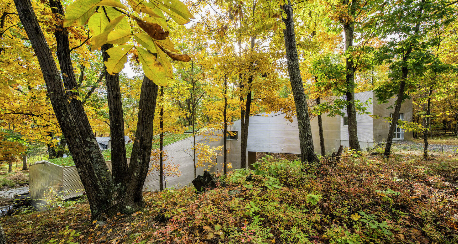 Times Union x Google