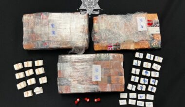 Animal sedative is quietly penetrating New York’s opioid supply