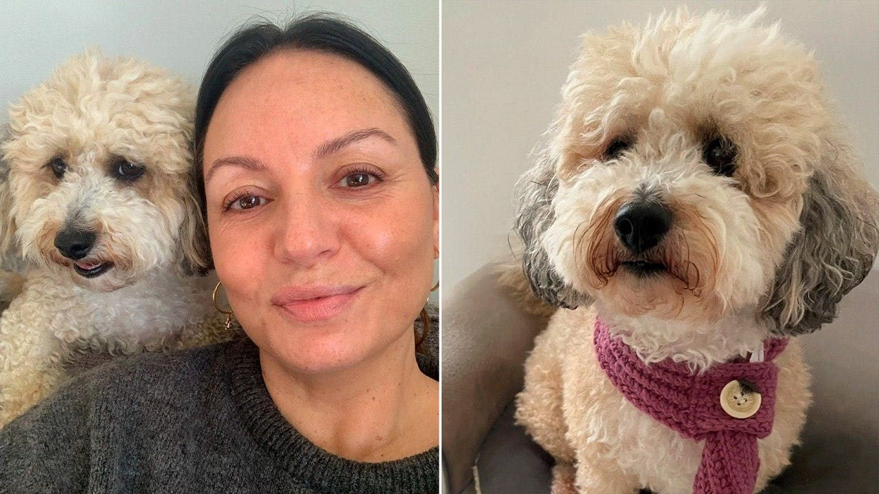 Woman's dog diagnosed with breast cancer years after her own battle