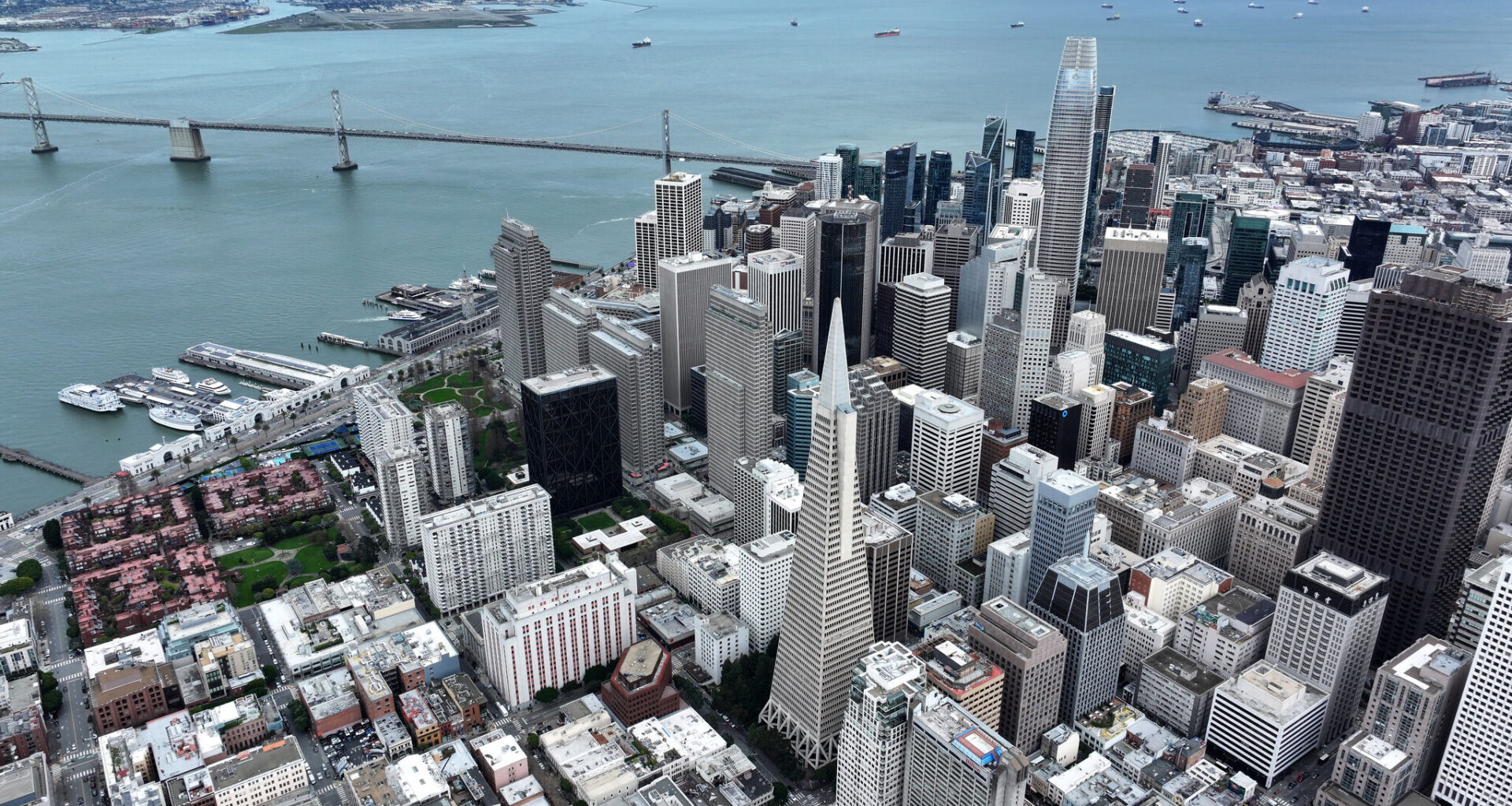 SF is getting ravaged by multiple viruses. Experts aren't sure why.
