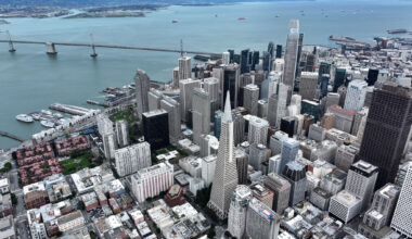 SF is getting ravaged by multiple viruses. Experts aren't sure why.