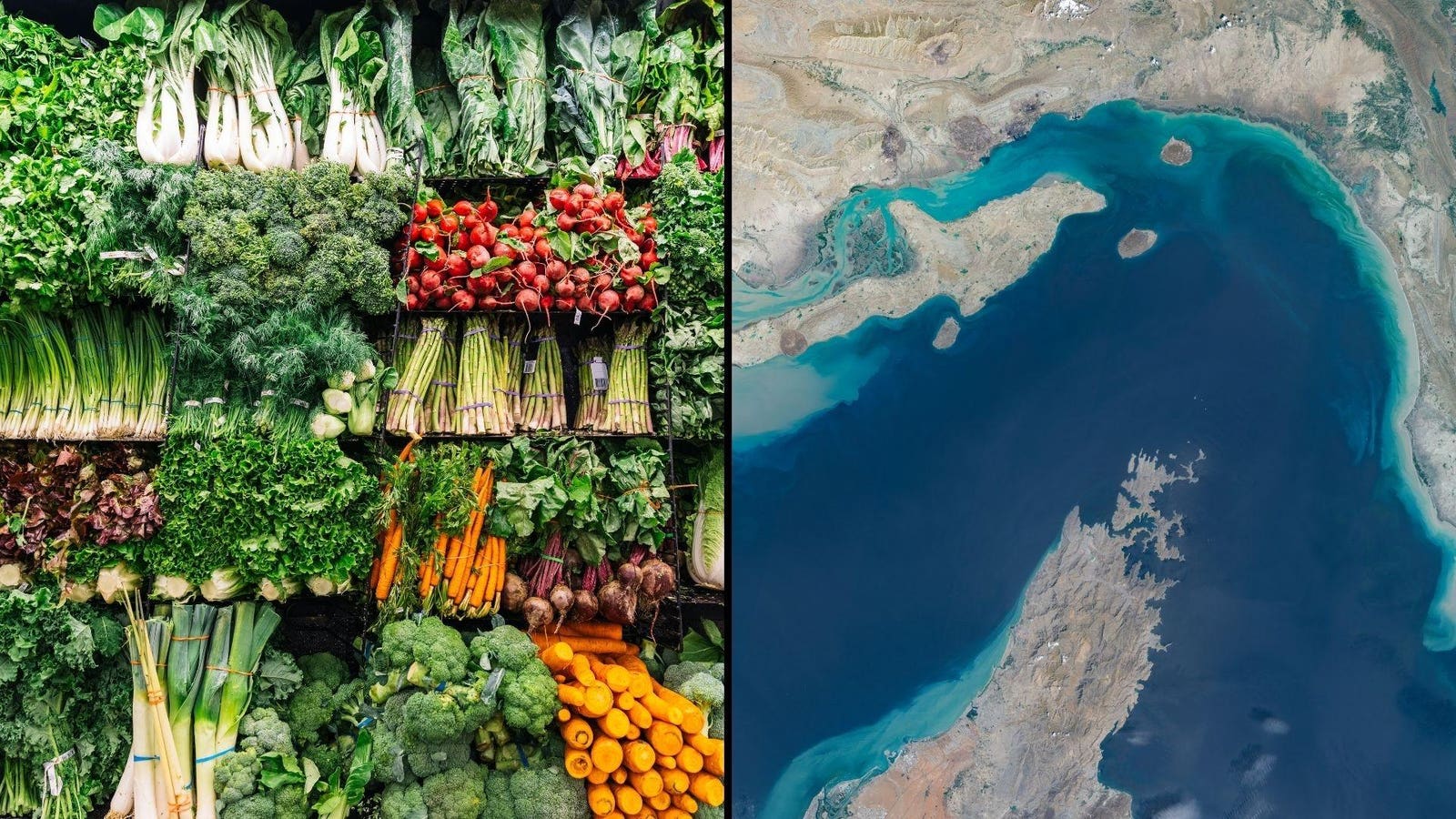 Economist Warns Even Higher Prices Are Coming Dues To Strait Of Hormuz Chaos: 'Long Way From Normal' - Forbes