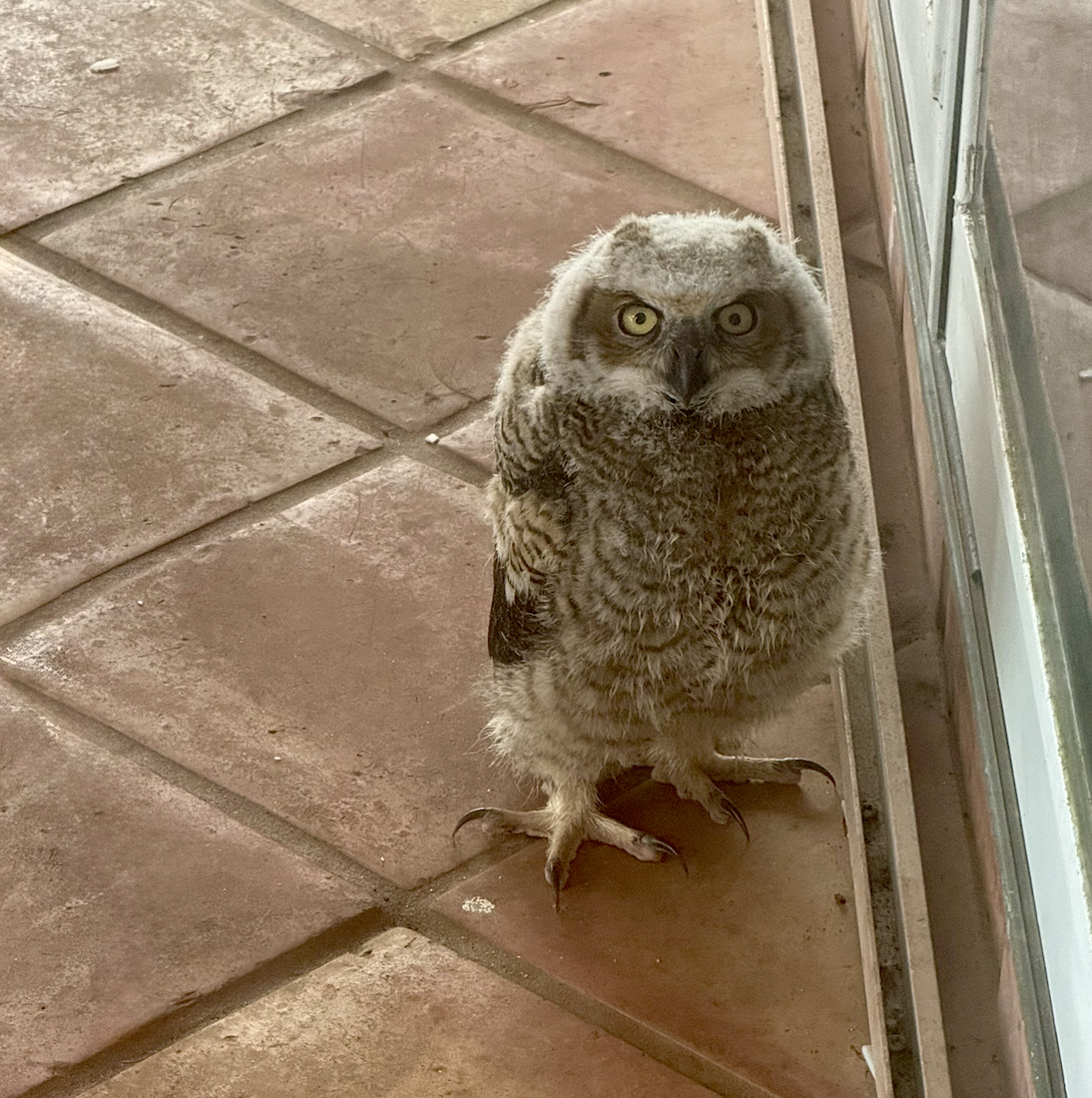 Screenshot 2026-04-22 at 2.50.46 PM.png