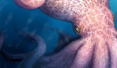 'Cretaceous Kraken' prowled the seas during the age of dinosaurs