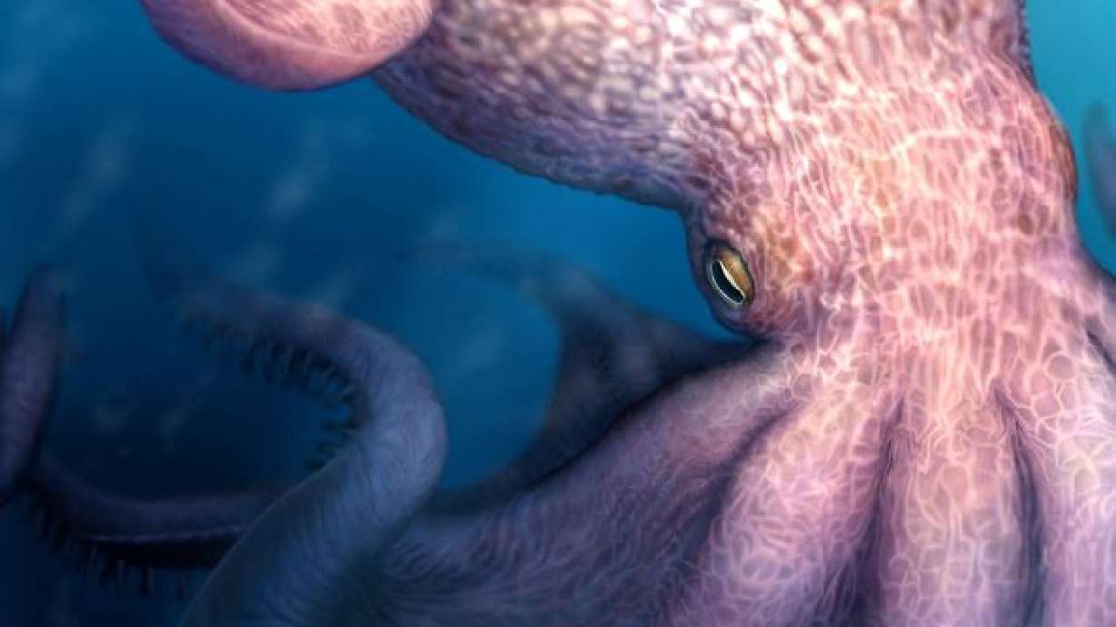 'Cretaceous Kraken' prowled the seas during the age of dinosaurs
