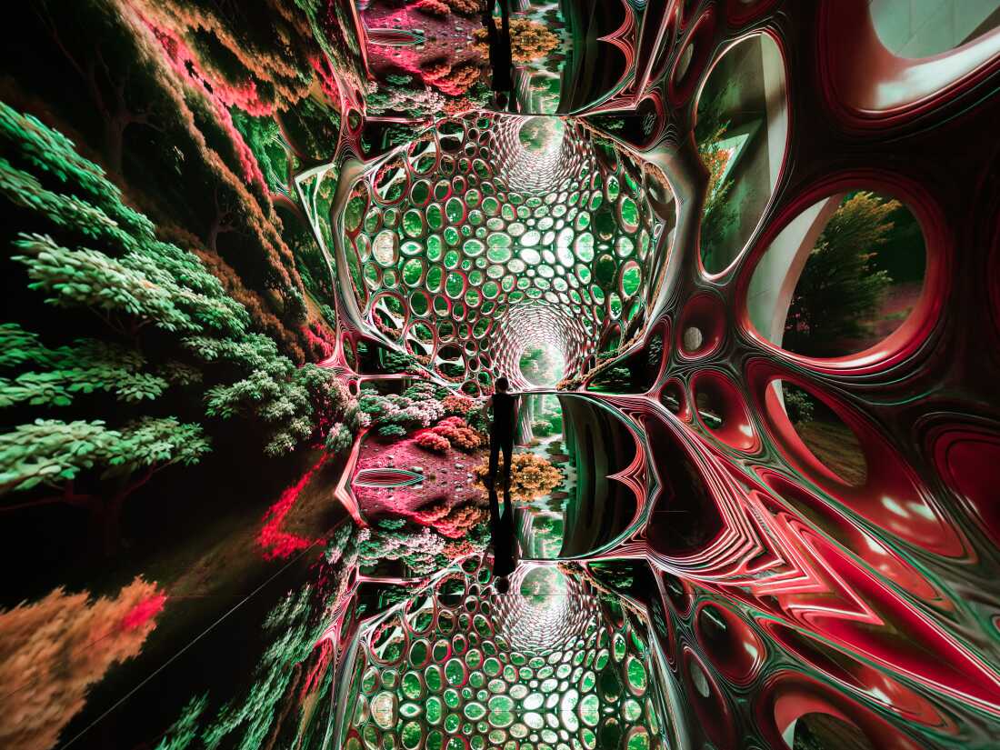 A rendering from Refik Aandol's Machine Dreams: Rainforest, the inaugural exhibition at Dataland. The museum dedicated to AI art is scheduled to open on June