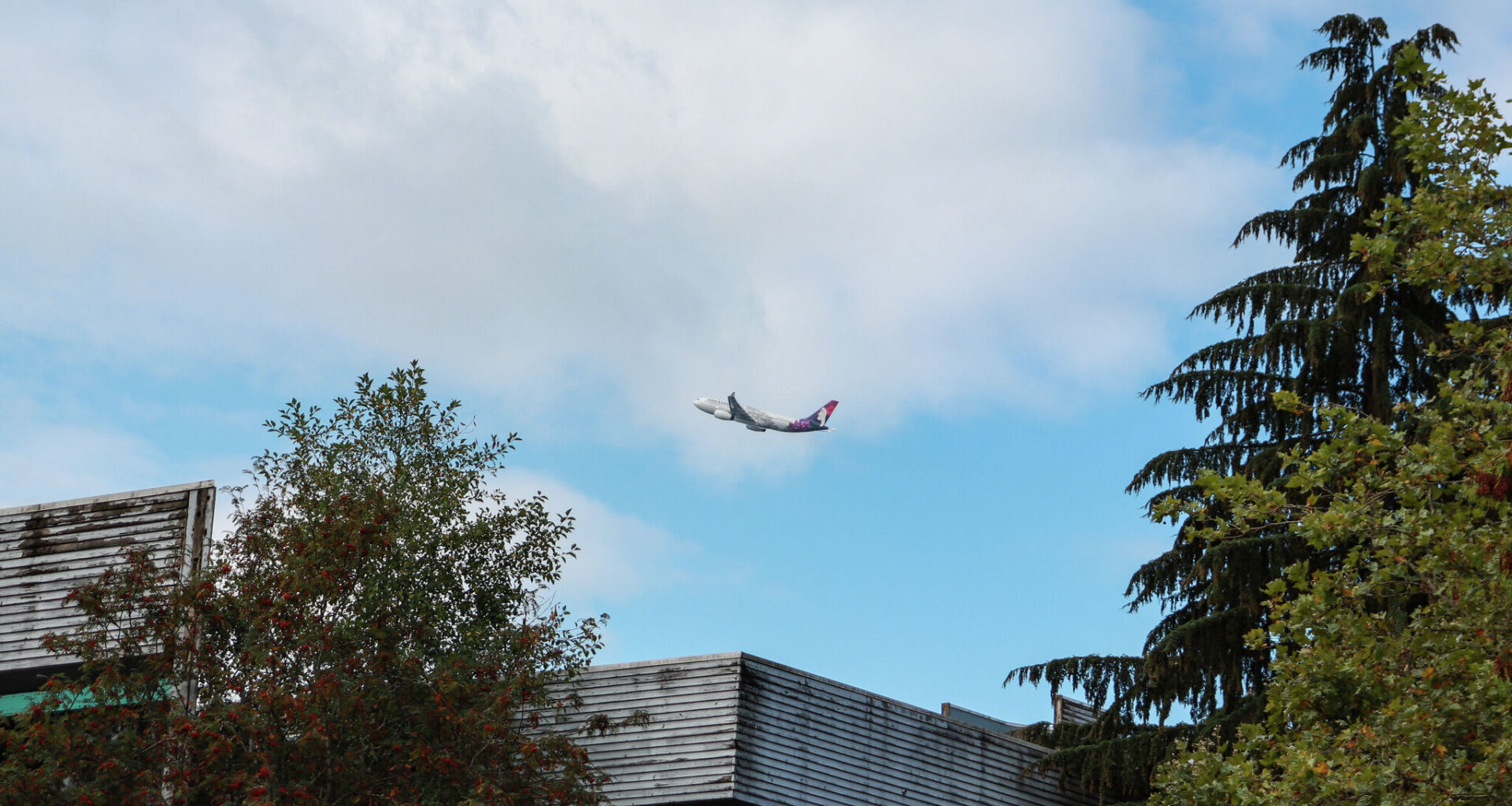 Hawaiian Airlines is slowly disappearing in front of our eyes