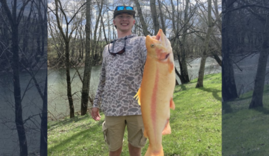 Teen catches record-breaking trout during annual West Virginia fishing event