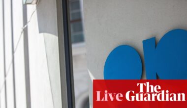 UAE quits Opec in ‘pivotal moment’ for oil producing group – as it happened | Business