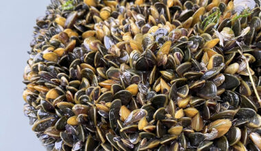 Emergency declared in Central Valley county over invasive species