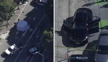 San Francisco Mission District deadly hit-and-run suspect arrested after leading officers on chase, police say