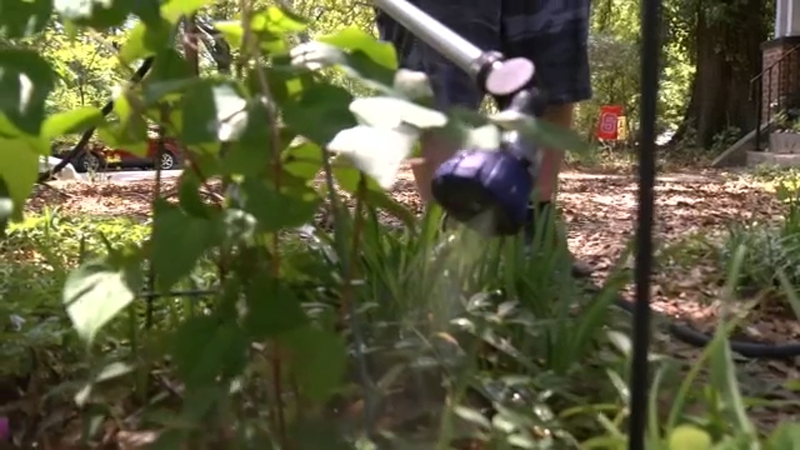 Water restrictions NC | Homeowners, gardeners adjust as drought brings water limits