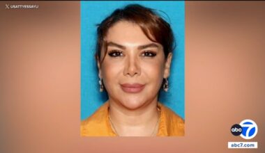 Woodland Hills woman Shamim Mafi arrested at LAX for alleged trafficking of drones, bombs, ammo for Iran, US prosecutors say