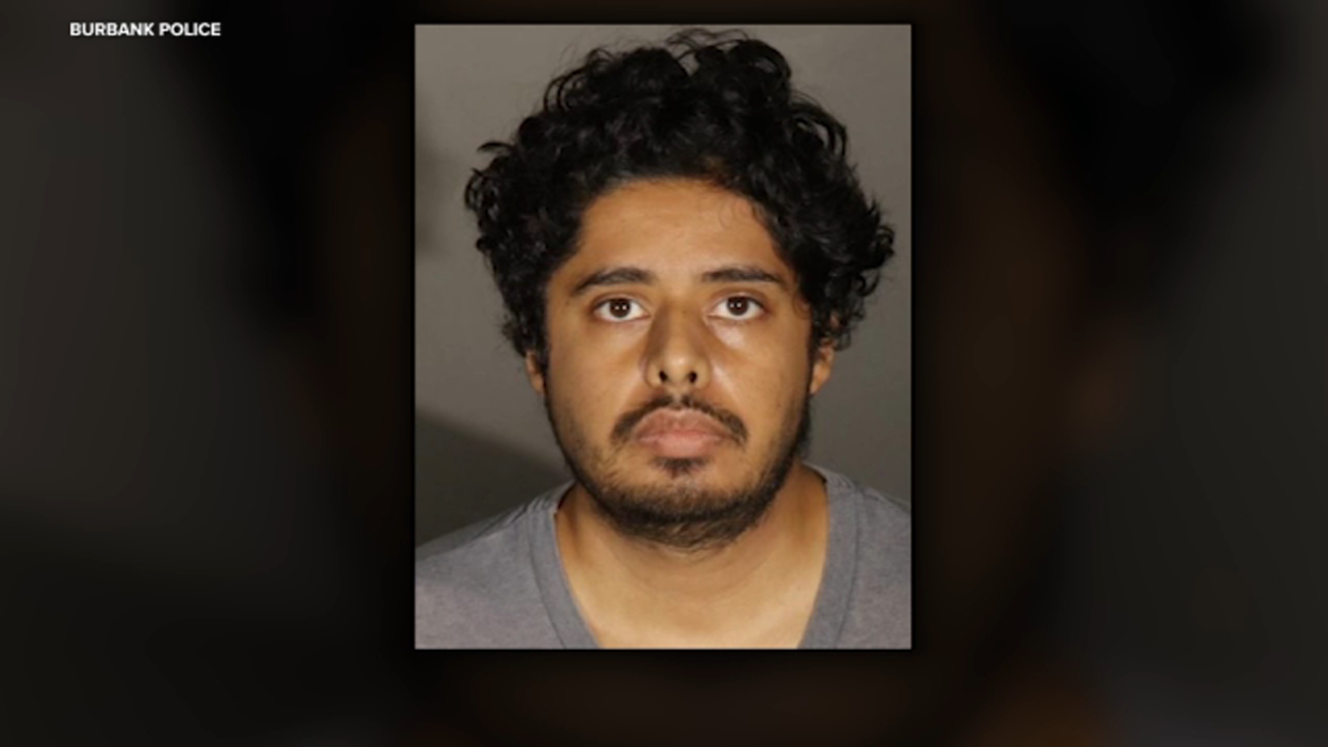Suspect arrested after mother killed, daughter injured in Burbank stabbing