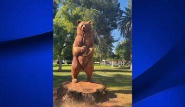 Community invited to name newly beloved bear statue in Merced County