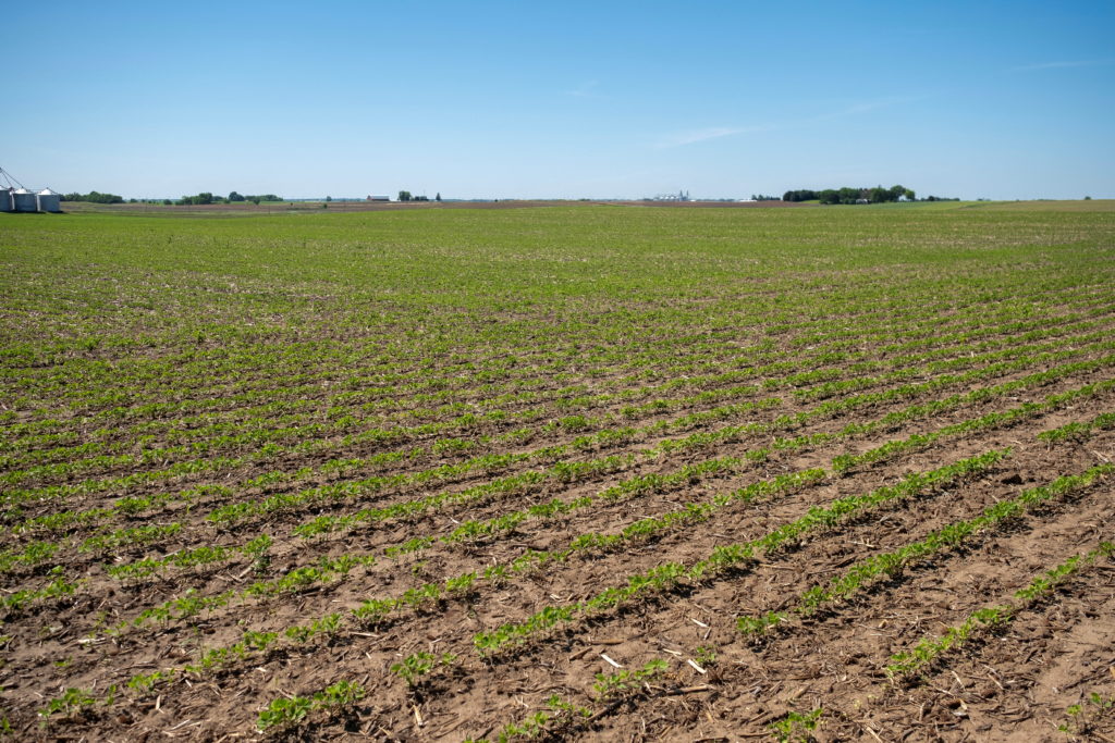 Facing low prices for all crops, U.S. farmers eye soy planting expansion