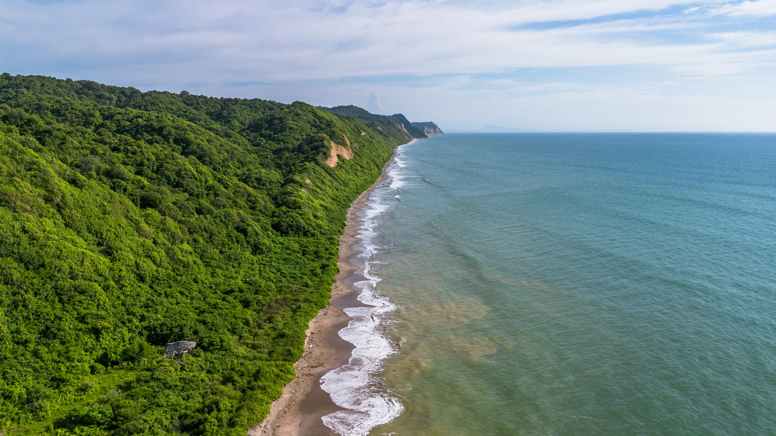 It took 14 people four days of patrolling more than 6 miles of remote coastline along the Pajonal Beach in Ecuador to find a nesting leatherback to tag. Credit: Nikki Riddy